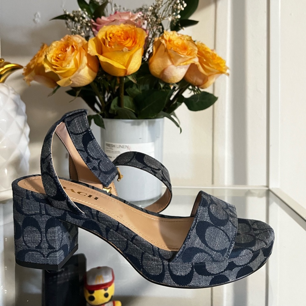 Coach Denim Serena Sandals in Chambray
